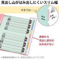 コクヨ カラー仕切カードPP(ファイル用)A4縦 2穴 1 シキ-P80 1組