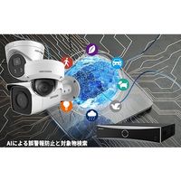 ビットストロング 顔認識用AIレコーダ AI NVR iDS-7716NXI-I4/16P/X(B) 1台 64-7815-11（直送品）