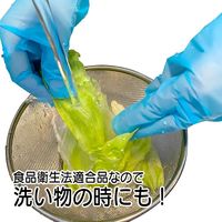 アーテック タケトラポリエチレン手袋 ストレッチタイプ ブルー L 100枚入 082054 1ケース(2000枚) 64-9098-63（直送品）