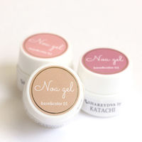 SHAREYDVA Ｎｏａ ｇｅｌ（ノアジェル） Ｂａｓｅ＆Ｃｏｌｏｒ 1 ４ｇ 1個（直送品）