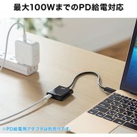 サンワサプライ USB Type C-HDMI変換アダプタ(4K/60Hz/PD対応) AD-ALCPHDPD 1個（直送品）