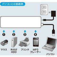 サンワサプライ HDD接続対応・面ファスナー付4ポートUSB2.0ハブ(ホワイト) USB-HTV410WN2 1個
