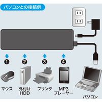 サンワサプライ HDD接続対応・面ファスナー付4ポートUSB2.0ハブ(ブラック) USB-HTV410BKN2 1個