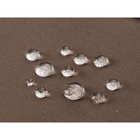 ジョイントカシワギ ストレッチ素材 撥水加工 治療・リハビリ・介護用 裾ファスナー付 パンツ 女性用 股下60cm L 黒（直送品）