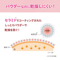 常盤薬品工業 毛穴パテ職人 カラールースパウダー 02 4964596700217 6個（直送品）