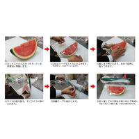 パックスタイル PS スイカ袋 ボーダー L JAN無 1000枚(50×20) 540900 1ケース(1000枚入(50枚×20袋))（直送品）