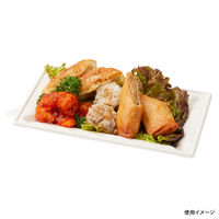 パックスタイル エコ容器 WB麦バガス プレート20-12 パルプモールド プレート本体 白色　1000枚(50×20) 639717（直送品）