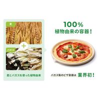 エコ容器 WB麦バガスピザ10インチハーフ パルプモールド ピザ容器 クラフト色 450枚(50×9) 663573（直送品）