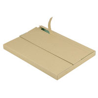 ヤマニパッケージ ポスティングボックス 25H ミント 100枚(50×2) EE-684 1ケース(100枚入(50枚×2袋))（直送品）