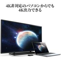 サンワサプライ USB3.2-HDMIディスプレイアダプタ(4K対応) USB-CVU3HD2N 1個