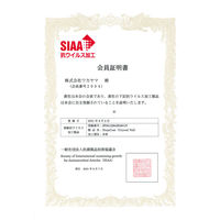 ワカヤマ　NinjaCoatクリスタルベール（16L/コート剤のみ）NJ16L 1缶　マツヨシカタログ（直送品）