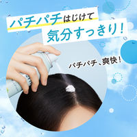 メリットデイプラス ドライシャンプー バーベナ＆レモンの香り 130g 花王