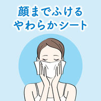 ビオレZ さらひや肌感シート 無香性 20枚入 花王