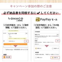 フレアフレグランス IROKA（イロカ） ミスト ネイキッドリリーの香り 詰め替え 180ml 1セット（2個） 花王