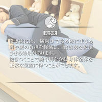 クリエイトアルファ 1個 接触冷感 抱き枕(大) 4582243750493-NB-1（直送品）