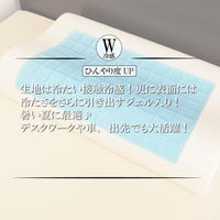 クリエイトアルファ 1個 接触冷感スカイジェルピロー SB 4582243750479-SB-1（直送品）