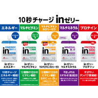 inゼリー（インゼリー） マルチミネラル グレープ味 1セット（1個（180g）×36） 鉄分 栄養機能食品 森永製菓