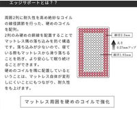 三栄コーポレーション 圧縮梱包ポケットコイルマットレス厚さ21CMエッジサポート付きシングル A1-SUPSM_AS 1個（直送品）