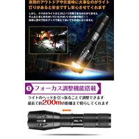 グリーンクロス ハンディライト ad202　1個（直送品）