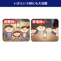 朝日電器 LEDフラットランタン DOP-L809 1個