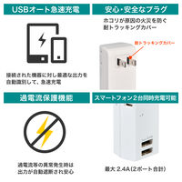 朝日電器 耐雷USBタップ2個口2ポート2.4A UA-222SL 1個