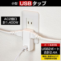 朝日電器 USBタップ2個口2ポート2.4A UA-222L 1個