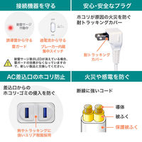 朝日電器 耐雷丸形4P2mUSBタップ WLS-LS402RUSB(W) 1個（直送品）