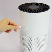 エスケイジャパン パーソナル空気清浄機 QTK-ARP06C 1台