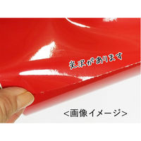 【屋外看板用マーキングフィルム】菊池襖紙工場 ORACAL 651シリーズ オラカル屋外用シート 070S 1セット（2本入り）（直送品）