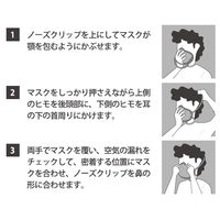 ヤマショウ N95立体マスク 折畳み型 YFS-020 1セット（30枚入）（直送品）