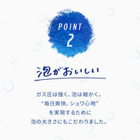 伊藤園 強炭酸水 ミネラル ストロング 500ml シリカ含有 1箱（24本入）