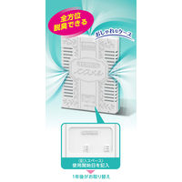 ノンスメル 冷蔵庫 野菜室用 脱臭剤 置き型 1年間脱臭 ニラやネギのニオイに 1個 白元アース