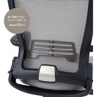 【軒先渡し】関家具 オフィスチェア ナエル オットマン付 ホワイト×ブラック 354886 1脚（直送品）