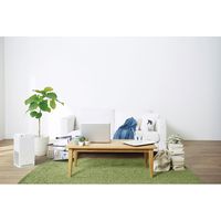 【ギフト包装】ダイキン　ストリーマ　空気清浄機（25畳）　22-0539-023　1個（直送品）