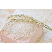 【ギフト包装】初代田蔵　高級木箱入り贅沢銘柄食べくらべ満腹リッチギフトセット　22-0470-014　1個（直送品）