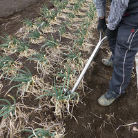 浅野木工所 四万十式 龍馬スキ 35270 1個（直送品）