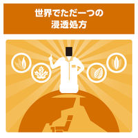リステリン オリジナル 強刺激 ビタードライ味 500mL 1セット（2本）口臭対策 マウスウォッシュ 洗口液 医薬部外品