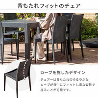 三栄コーポレーション 屋外設置、水洗い可能 ラタン調ガーデンチェア　肘無し2脚セット A1--PYXCHR2S_AS １セット(２脚）（直送品）