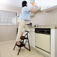 YAMAZEN チェア踏み台 WCS-2R(DBR)　1台（直送品）