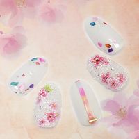 ＳＨＡＲＥＹＤＶＡ ネイルシール 桜 ライトピンク55920 (直送品)  1個（直送品）