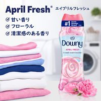 ダウニー（Downy） フレッシュプロテクト エイプリルフレッシュ 257g 1セット（1個×4） 香り付け専用剤 P＆G