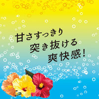 伊藤園 Vivit's（ビビッツ）沖縄パイン 450ml 1箱（24本入）