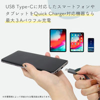 USBケーブル USB（A）[オス] - USB（C）[オス] 2m シリコン ラテグレージュ MOTTERU（モッテル） 1本