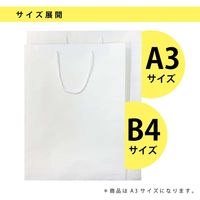 エヒメ紙工 賞状額縁用紙袋 A3サイズ W390×H510×D45mm 10枚パック SJP-A3 1セット(10枚入)