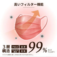 医食同源ドットコム SPUN MASK スパンレース　ベージュ　40枚入 1箱（40枚入）