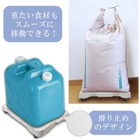 連結平台車　Ｌサイズ DLHLC21373 1台 ヒロ・コーポレーション（直送品）