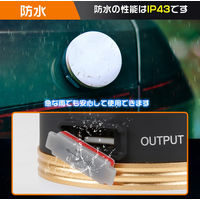 グリーンクロス LEDランタン 2個セット 6300025691 1台