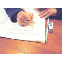 ステッドラー かきかたえんぴつ あおいものシリーズ 12本 2B 130702BC12 1セット（直送品）