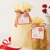 ヘッズ 2重不織布リボン付バッグ-S/クリーム DFC-RBS 1セット(100枚:20枚×5組)