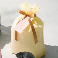 ヘッズ 2重不織布リボン付バッグ-M/クリーム DFC-RBM 1セット(50枚:10枚×5組)